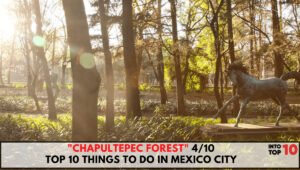Chapultepec Forest
